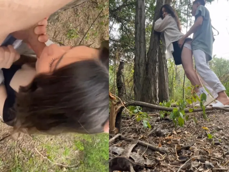 Nện nhau trong rừng vừa thổi kèn vừa run vì sướng